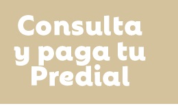 El cálculo del predial se determina con base en el valor catastral del inmueble.

Conoce los factores que influyen y se deben considerar en el cálculo del impuesto predial:

Valor Catastral: Representa el valor que las autoridades municipales le asignan a los inmuebles propiedad, basándose en factores como la ubicación, el uso del suelo, y las características físicas del inmueble.

Tasa Impositiva: Esta es la tasa que aplica al valor catastral para determinar el monto a pagar.

Clasificación de la zona: Las zonas pueden ser de alta, media o baja densidad, lo que influye en el valor.

Superficie del Terreno y Construcción: El tamaño del terreno y la construcción también influyen en el cálculo del impuesto.

Generalmente, mientras mayor sea la superficie del terreno o la construcción, mayor será el valor catastral y, en consecuencia, el impuesto a pagar.

Además, se debe considerar los siguientes elementos que se consideran para calcular el predial:

El valor del suelo

Tamaño del terreno del inmueble.

Superficie de la construcción.

La construcción

Con respecto a la construcción, algunos de los factores que se consideran son los siguientes:

Tipo de inmueble

Número de pisos

Tamaño de la construcción

Superficie del terreno

Antigüedad de la propiedad

Zona en que se localiza la propiedad, por ejemplo, si está en avenidas principales, cerca de parques, centros comerciales o el valor de los inmuebles que la rodean.

¿Cómo consultar y pagar Predial Guerrero?